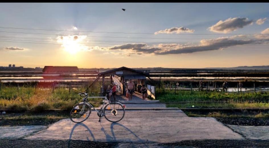 Bbr26- Sea View First Line Apartment Sarafovo 布尔加斯 外观 照片